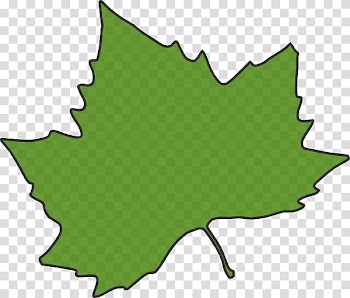 Maple leaf , maple leaf transparent background PNG clipart