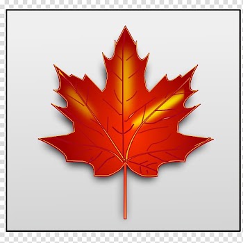 Maple leaf , Of Maple Leaves transparent background PNG clipart