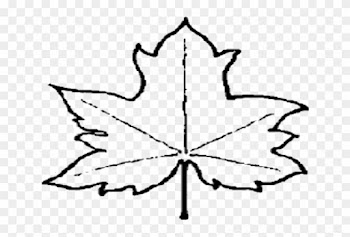 Maple Leaf Outline Clipart 3 Clipart - Outline Of A Leaf