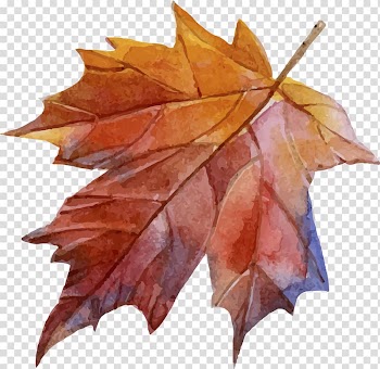 Maple leaf, Paper Autumn Drawing, leaf transparent background PNG clipart