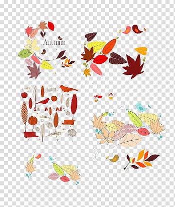 Maple leaf Petal, Leaves transparent background PNG clipart