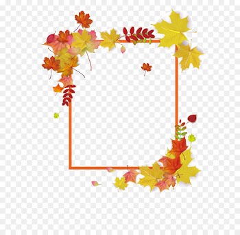 Maple leaf Picture frame - Maple Leaf Frame color vector 