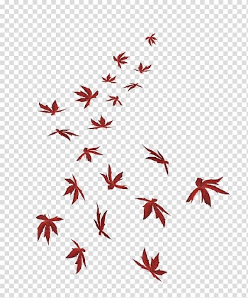 Maple leaf, POP ART transparent background PNG clipart