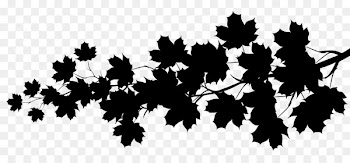 Maple leaf Portable Network Graphics Image Stretching Desktop Wallpaper -  