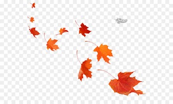 Maple leaf Poster Autumn Mural - Leaf 