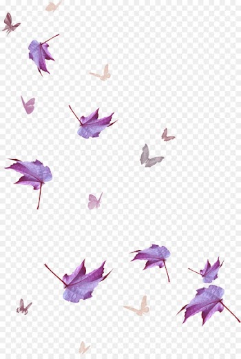 Maple leaf Purple - Maple Leaf 