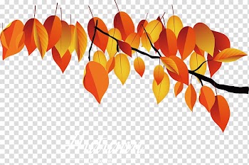 Maple leaf, Red autumn leaves transparent background PNG clipart
