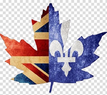 Maple leaf Red maple graphics, Leaf transparent background PNG clipart