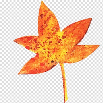 Maple leaf Red maple, Maple Leaf transparent background PNG clipart