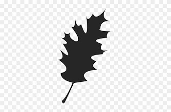 Maple Leaf Silhouette - Clip Art
