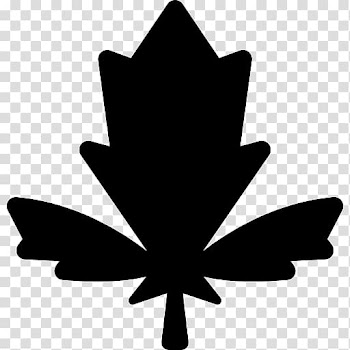 Maple leaf Symbol Computer Icons, Leaf transparent background PNG clipart