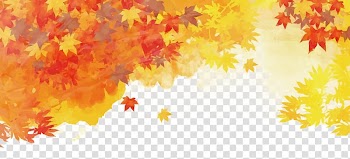 Maple Leaf transparent background PNG clipart