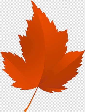 Maple leaf Tree Autumn Red maple, tree transparent background PNG clipart
