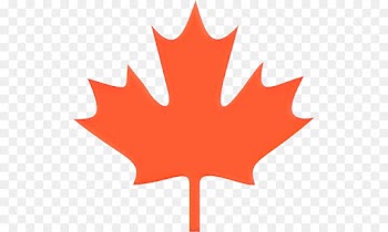 Maple Leaf, Tshirt, Flag Of Canada, Leaf, Tree PNG