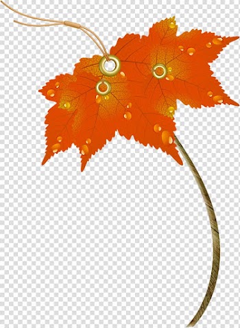 Maple leaf Umbrella Autumn, autumn leaves transparent background PNG clipart