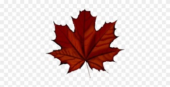 Похожее Изображение - Maple Leaf Vector