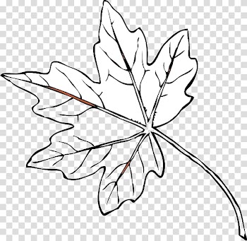 Maple leaf Yellow Autumn leaf color , Maple Leaf Canada White transparent background PNG clipart