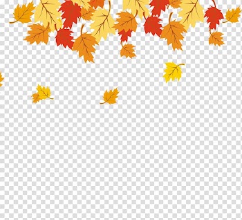 Maple leaf Yellow, Maple Leaf transparent background PNG clipart