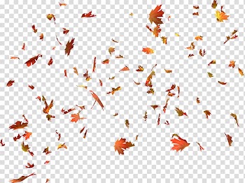 Maple leaves , Autumn leaf color Autumn leaf color Maple leaf, autumn leaves transparent background PNG clipart