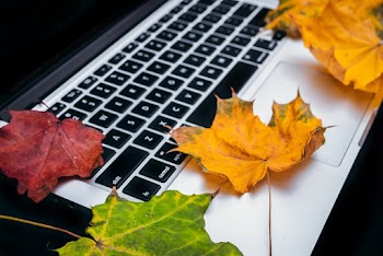Maple Leaves on Macbook Pro