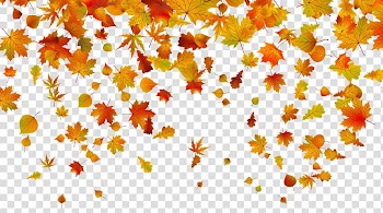 Maple leaves , Owl Autumn leaf color Desktop , autumn leaves transparent background PNG clipart