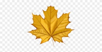 Maple Png Leaf - Feuilles D Automne Gif Animé