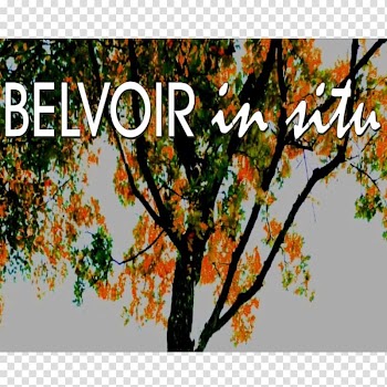 Maple Tree Leaf Branching Font, tree transparent background PNG clipart