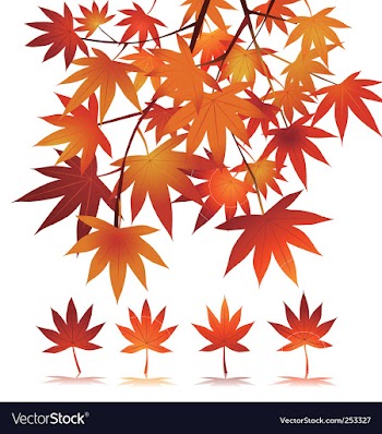 Maple vector image