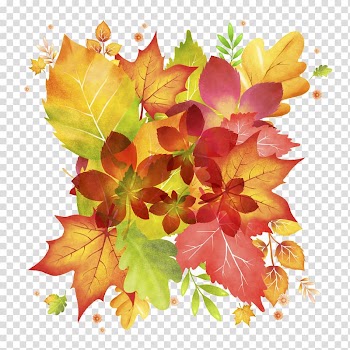 Maple water color painting transparent background PNG clipart