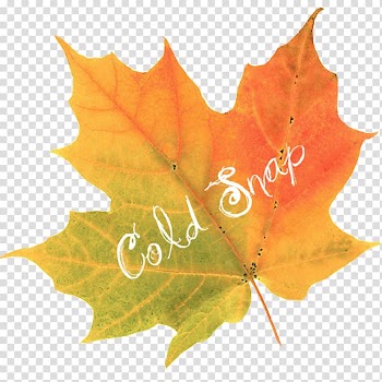Maplebrook Pet Care Center Autumn leaf color Veterinarian, Autumn Tags handdrawn transparent background PNG clipart