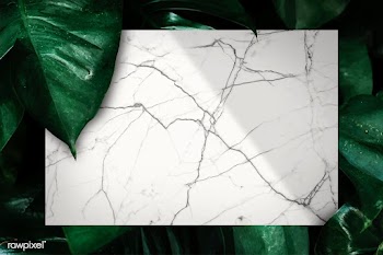 Marble and leaf background | Free stock vector - 599769