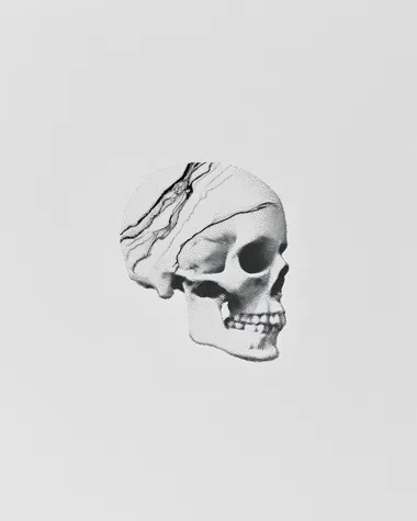Marble Textured Skull in Graphite Drawing Marble Textured Skull in Graphite Drawing