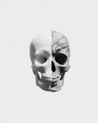Marble Textured Skull with Graphite Detailing Marble Textured Skull with Graphite Detailing