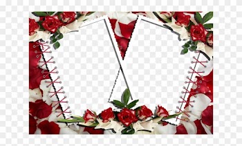 Marco Con Rosas - Rose Petals