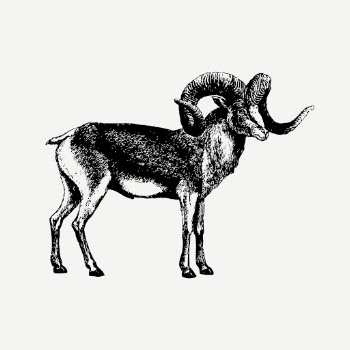 Marco polo sheep clipart, animal, | Free PSD - rawpixel