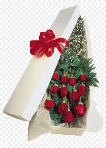 Marcos Gratis Para Fotos - Roses In A Box