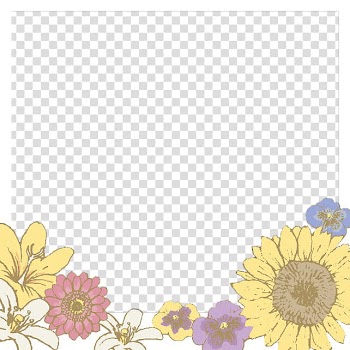 Marcospara II, floral frame template transparent background PNG clipart