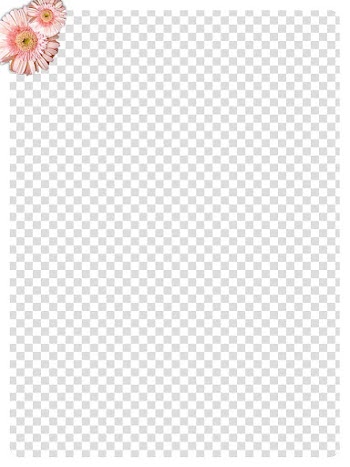Marcospara II, pink petaled flowers white frame transparent background PNG clipart