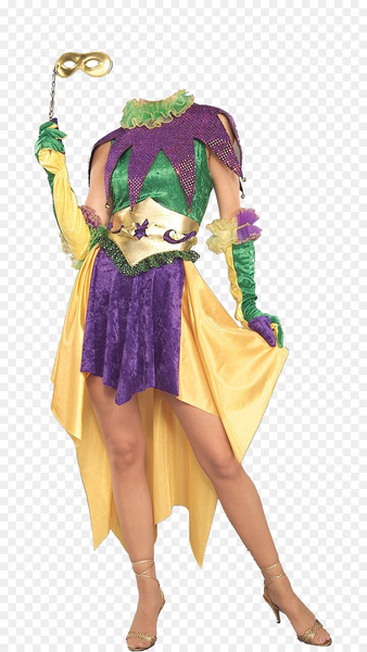 Mardi Gras in New Orleans Costume party Dress - mardi gras 