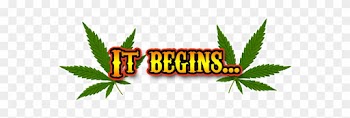 Mardigrass Will Become A Festival When We Can Celebrate - 100% Natural Cannabis Twin Duvet