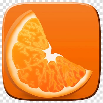 Marei Icon Theme, orange fruit transparent background PNG clipart