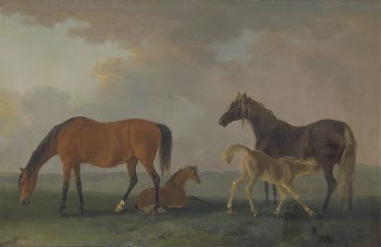 Mares and Foals, facing left | Free Photo - rawpixel