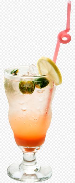 Margarita Cocktail garnish Sea Breeze Drink - Papaya bubble 