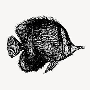Margined coralfish clipart, vintage sea | Free Vector - rawpixel