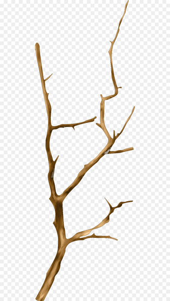 Mari Cruz Vg Twig Email GIF - driftwood insignia 
