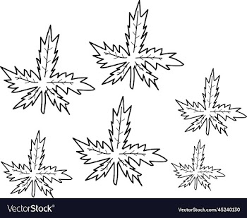 marijuana