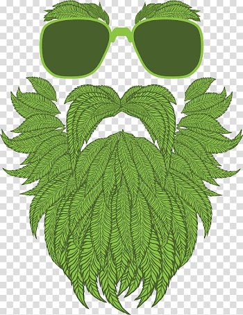 Marijuana beard illustration, Cannabis smoking Drawing Medical cannabis, cannabis transparent background PNG clipart