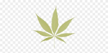 Marijuana - Cannabis Leaf