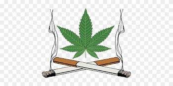 Marijuana Clipart Tobacco Leaf - Marijuana Leaf