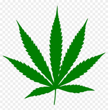 Marijuana Leaf